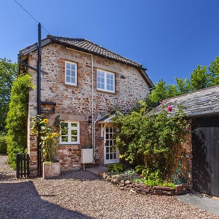 Luccombe Cottage Luccombe Экстерьер фото